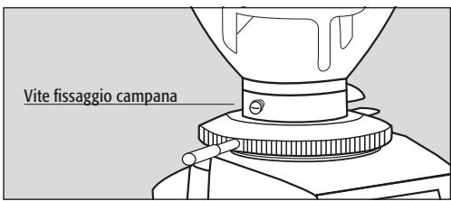 Fiorenzato F64E XGi - Preparazione - 1