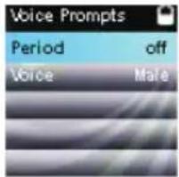 Voice Prompts Period off Voice Male