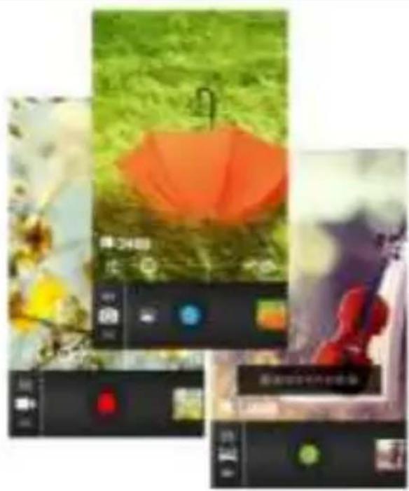 Collage of three digital interface screenshots showing a colorful umbrella image, surrounded by nature scenes (no readable text or symbols)