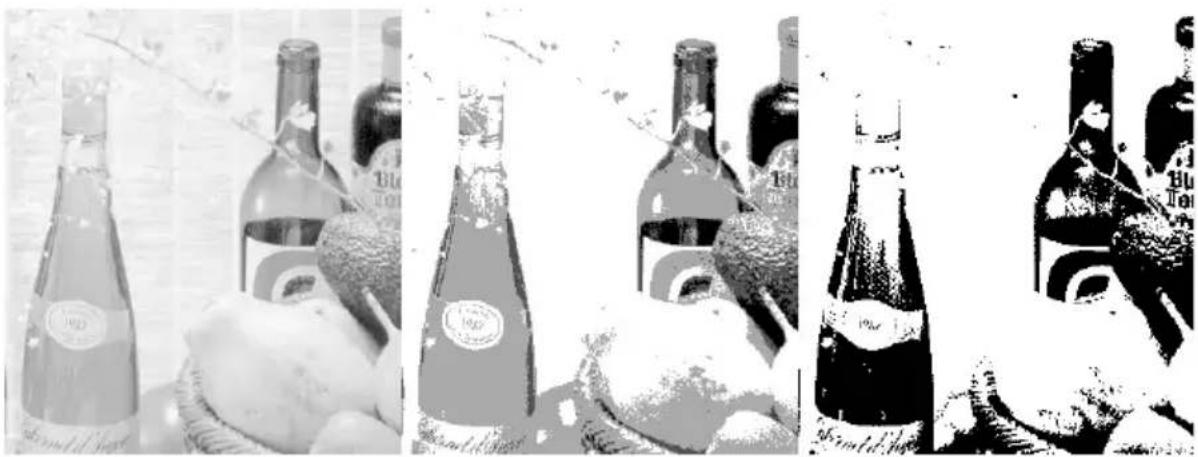 Black-and-white collage showing wine bottles, fruit, and a person in a wine bottle (no visible text or symbols)