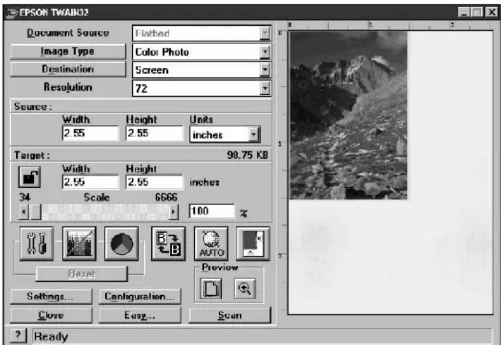 EPSON TWAIN32 Document Source Flatbed Image Type Color Photo Destination Screen Resolution 72 Source : Width Height Units 2.55 2.55 inches Target : 98.75 KB Width Height 2.55 2.55 inches 34 Scale 6666 100 % Reset Preview Settings... Configuration... Close Easy... Scan Ready