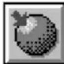 EPSON Expression 636 - Image Controls Icons - 3