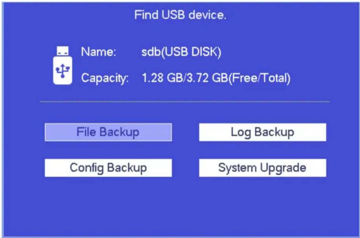 Find USB device. Name: sdb(USB DISK) Capacity: 1.28 GB/3.72 GB(Free/Total) File Backup Config Backup Log Backup System Upgrade