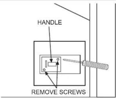 HANDLE REMOVE SCREWS