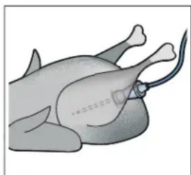 Illustration of a chicken being fed with a medical device (no text or symbols)