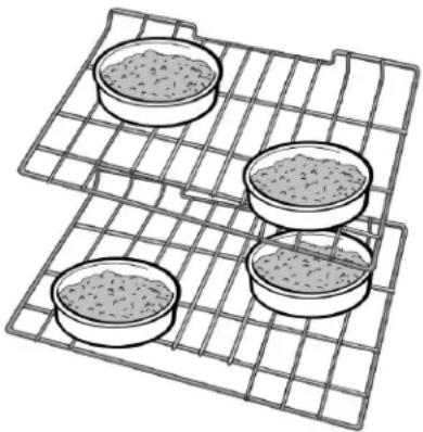 Illustration of four petri dishes in a rack, each containing granular material (no text or symbols)
