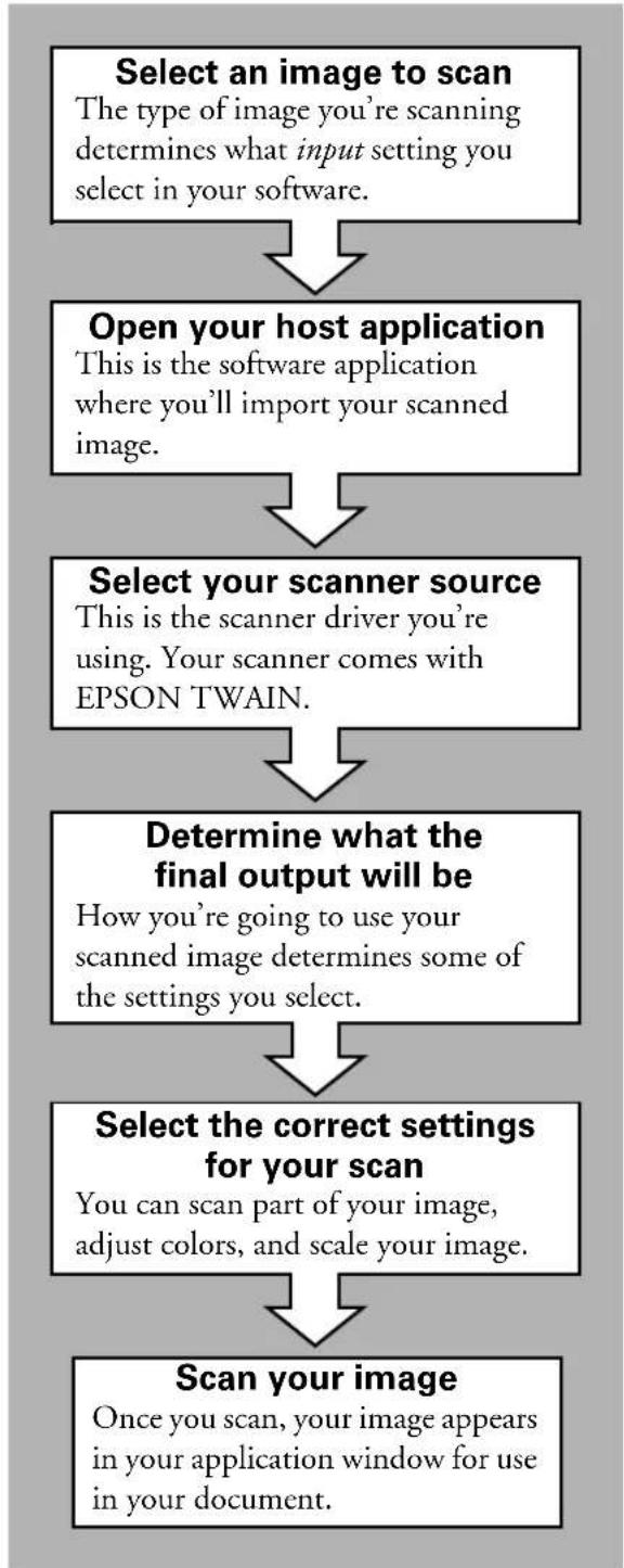 graph TD A["Select an image to scan\nThe type of image you're scanning determines what input setting you select in your software."] --> B["Open your host application\nThis is the software application where you'll import your scanned image."] B --> C["Select your scanner source\nThis is the scanner d…
