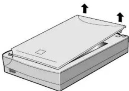 Illustration of a printer with a paper lid and two upward arrows indicating orientation (no text or symbols)