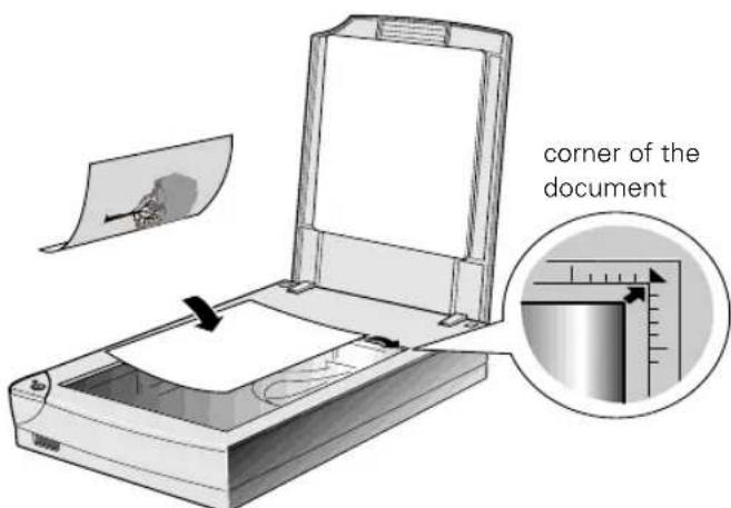 corner of the document
