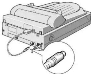 Diagram of a printer with cable and connector, showing internal components (no text or symbols)