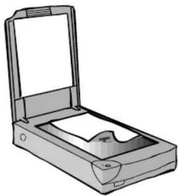 Line drawing of a flat-screen scanner device with open lid and internal tray (no text or symbols)