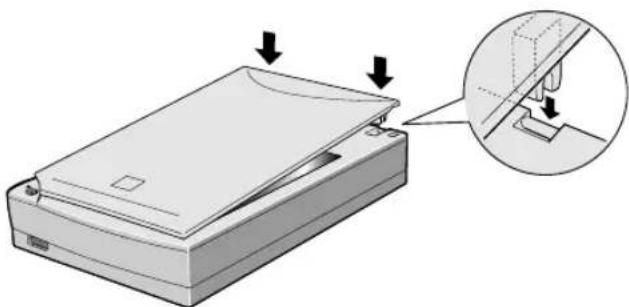 Illustration of a printer with a paper roll being inserted, showing the lid and base plate (no text or symbols present)