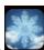 CECOTEC Bolero Coolmarket 4d 503 Dark D - Activar el mode Fast Freezing - 1