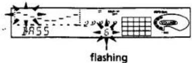 mass 2000 6 flashing