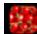 CECOTEC Bolero Coolmarket 4d 601 Dark E - Réglages du tiroir Fresh Zone - 1