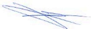 CECOTEC Bolero Squad Gn 5200s - DICHIARAZIONE DI CONFORMITÀ UE - 1