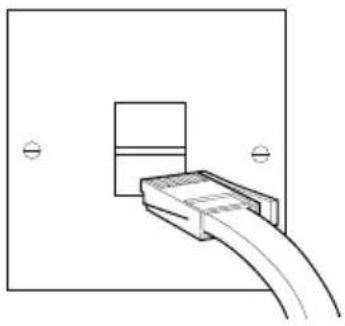 Diagram of a cable connector inserted into a socket, showing internal structure without any text or symbols
