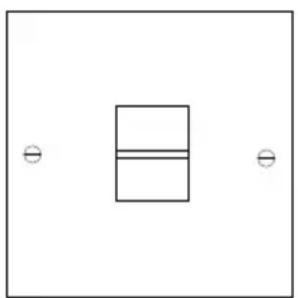 Simple diagram with a central rectangle and two side circles, no text or symbols present.