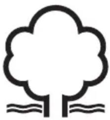 Simple line drawing of a tree with two roots and wavy lines at the base (no text or symbols)