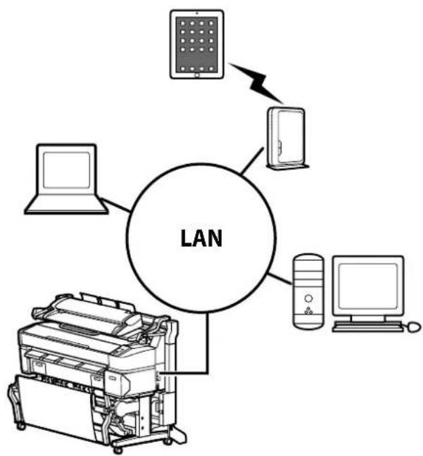graph TD A["LAN"] --> B["Printer"] A --> C["Server"] A --> D["Computer"] A --> E["Laptop"] A --> F["Desktop"]