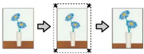 Three-step illustration showing a flower growing from a vase to a vase with blue flowers, connected by arrows (no text or symbols)