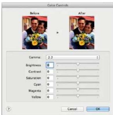 Color Controls Before After Gamma: 2.2 Brightness 0 Contrast 0 Saturation 0 Cyan 0 Magenta 0 Yellow 0 Cancel OK