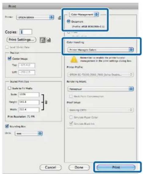 Print Printer: EPSON XXXXXX Copies: 1 Print Settings... Send 15-Net Data Position... Center Image Top: -123.42 Left: -299.15 Scaled Print Size Scale to Fit Media Scale: 100% Height: 541.8 Width: 722.4 Print Resolution: 72 PPI Bounding Box Unit: mm Color Management Document (Profile: @GB 8061968-2.1)…