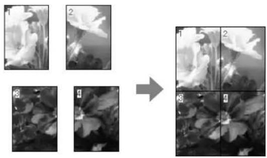 Sequence of grayscale images showing a flower's appearance before and after transformation, with no visible text or symbols.