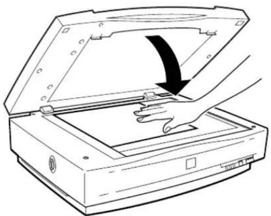 Line drawing of a hand opening a scanner with an arrow indicating the process (no text or symbols present)