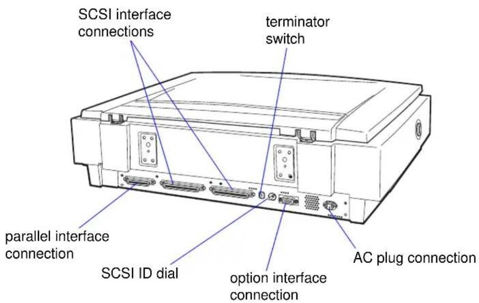 SCSI interface connections terminator switch parallel interface connection SCSI ID dial option interface connection AC plug connection