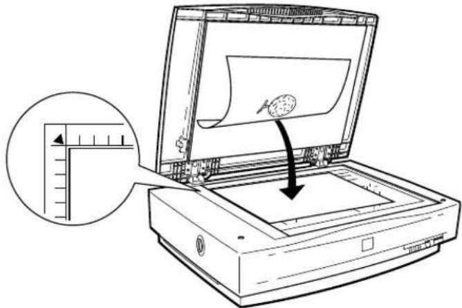 Diagram showing a printer with a magnified view of its paper edge, including a ruler and an arrow indicating the process.