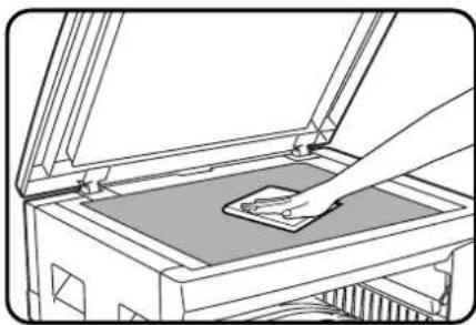 Line drawing of a printer's open lid with a hand inserting a sample into the cover (no text or symbols)