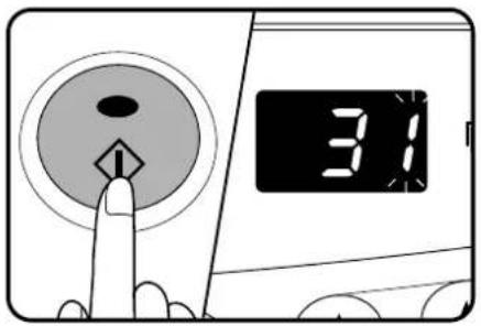 31
