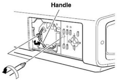 Handle