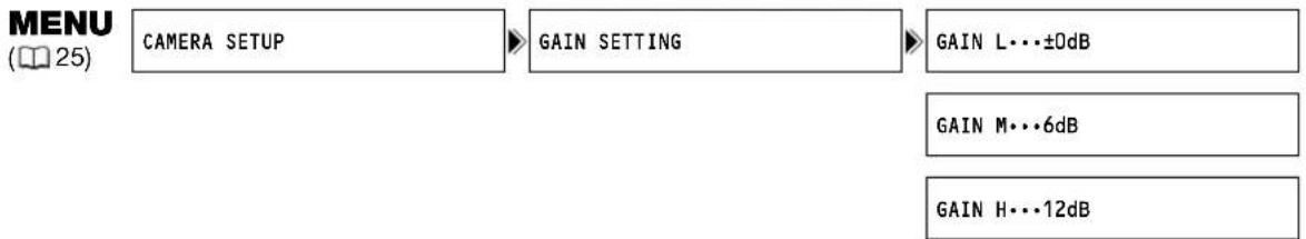 graph LR A["CAMERA SETUP"] --> B["GAIN SETTING"] B --> C["GAIN L...±0dB"] B --> D["GAIN M...6dB"] B --> E["GAIN H...12dB"]