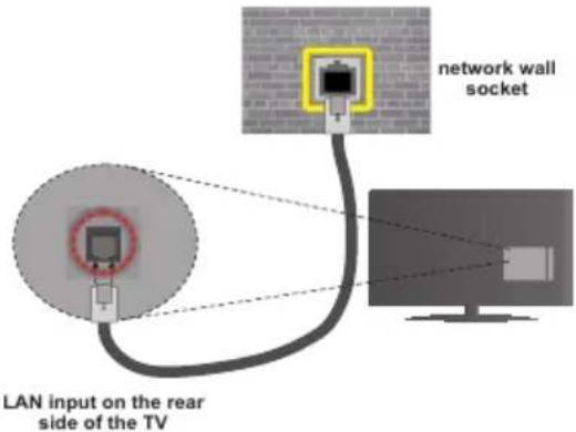 network wall socket LAN input on the rear side of the TV
