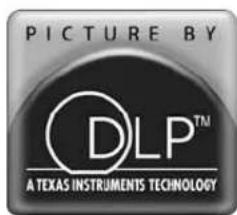 PICTURE BY DLP™ A TEXAS INSTRUMENTS TECHNOLOGY
