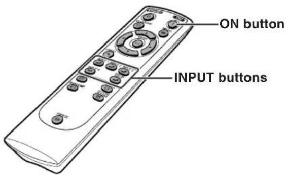 ON button INPUT buttons