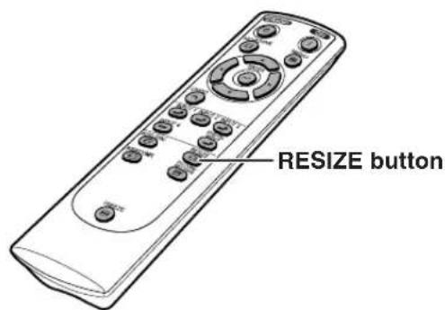 RESIZE button