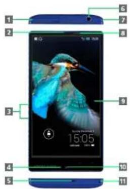 Diagram of a smartphone with labeled parts showing bird and time display screen