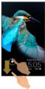 Illustration of a kingfisher in flight with blue wings and wings spread, captured at 5:05 (no text or symbols on the image itself)