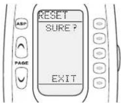 ASP PAGE RESET SURE? EXIT
