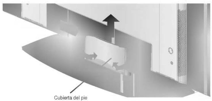Cubierta del pie