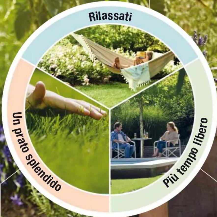 Rilassati Un prato splendido Più tempo libero