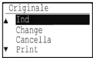 Originale Ind Change Cancella Print