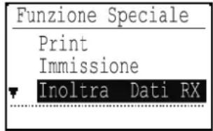 Funzione Speciale Print Immissione Inoltra Dati RX