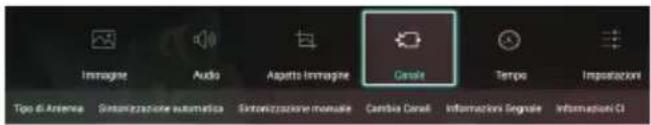 Immagine Audio Aspetto Immagine Censile Tempo Impostazioni Tipo di Asterna Sistentrazione automatica Sistentrazione manuale Cambio Censile informazioni Sengole informazioni Ci