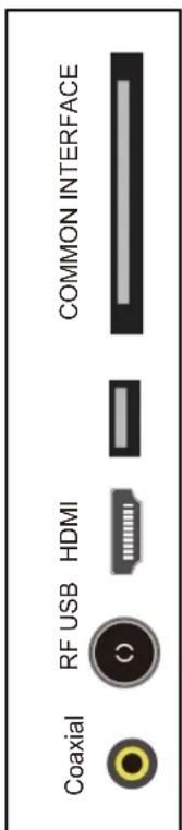 COMMON INTERFACE HDMI RF USB Coaxial