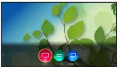 PANASONIC TX-49FX700E - Come utilizzare - 1