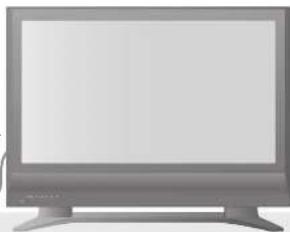 PANASONIC Viera TH-50PV7F - Maneggiamento della spina e del cavo di alimentazione - 2